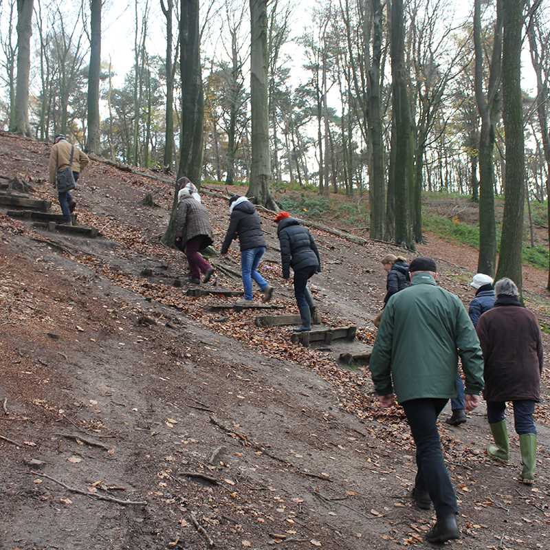 Wandeling Kluisbos